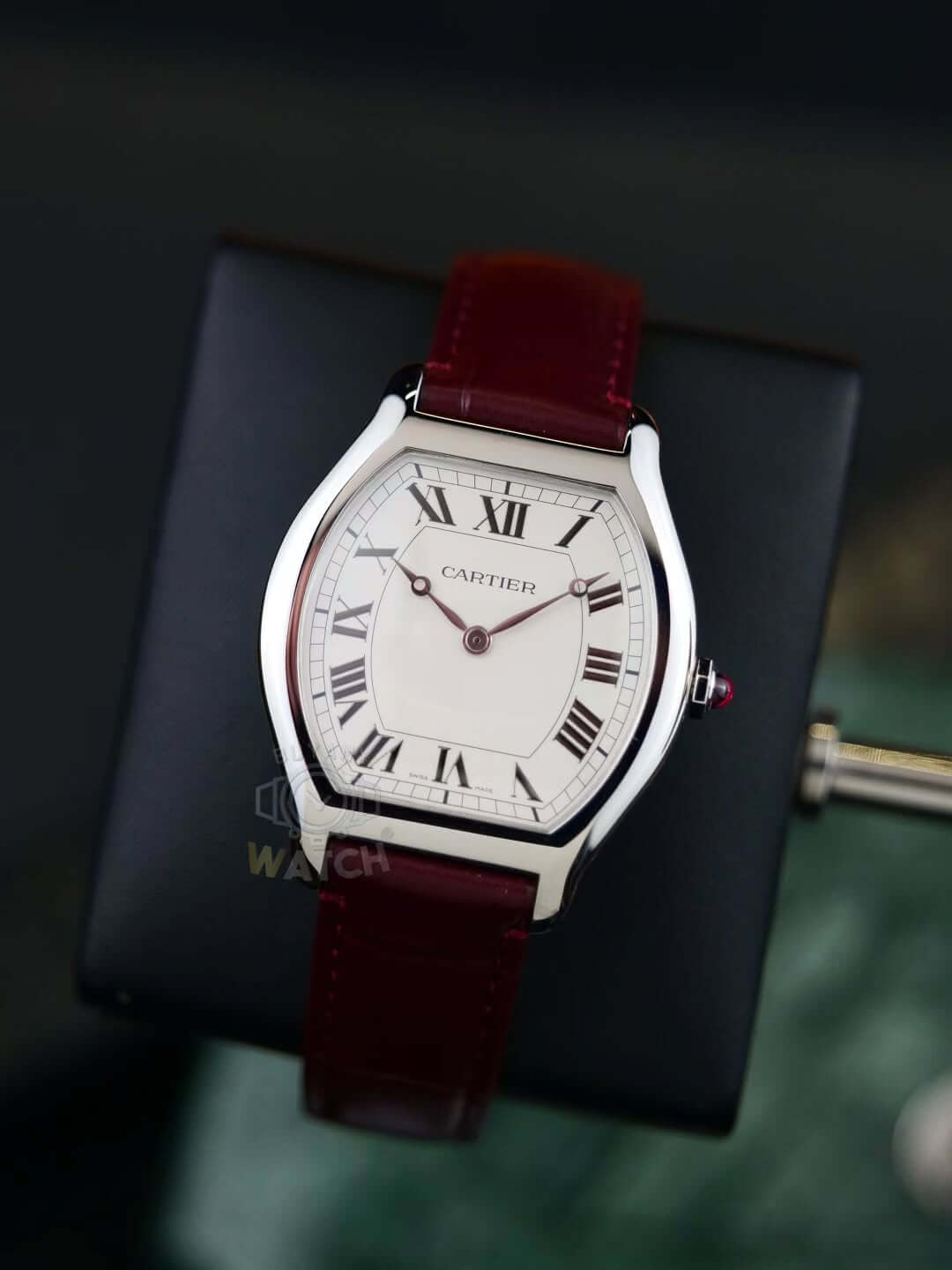 cartier-tortue-Acr0vT